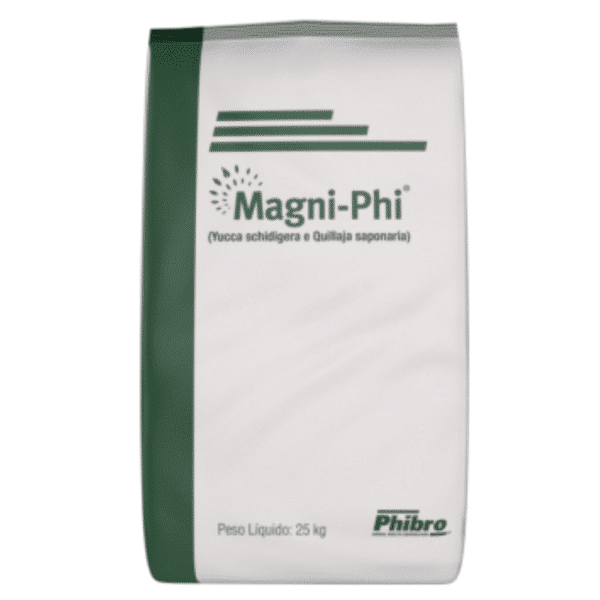 Magni Phi