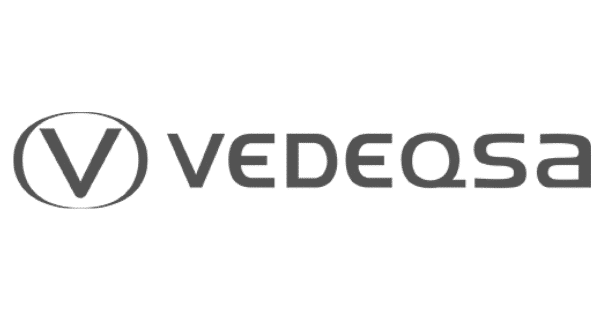 Logo Vedeqsa - BN
