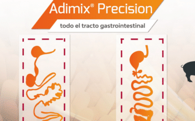 ¡Nuevo video! Conoce más de Adimix Precision