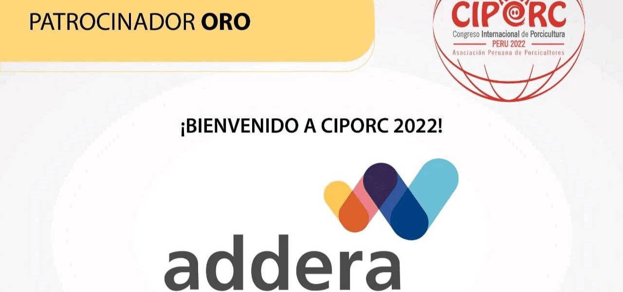 ciporc 2022